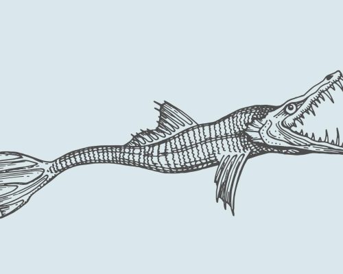 Komen er monsters voor in de Bijbel?